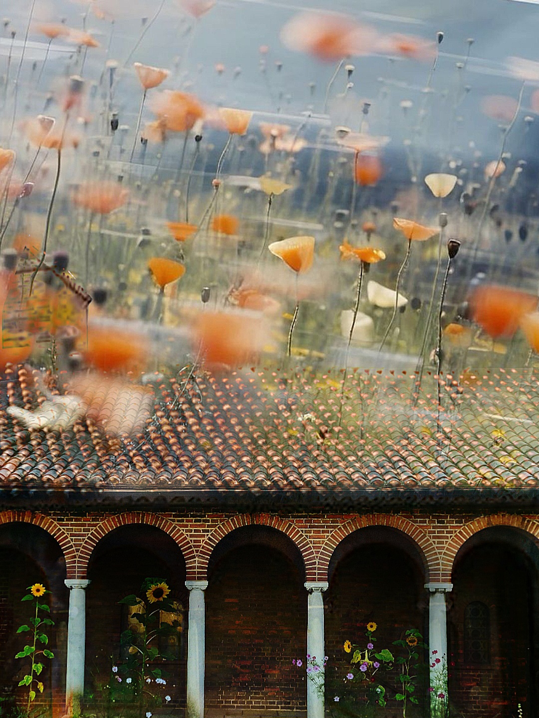 An artistic photograph of the church, surrounded by poppies, sunflowers, and other plants